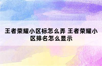 王者荣耀小区标怎么弄 王者荣耀小区排名怎么显示